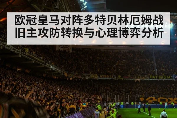 football stadium night crowd